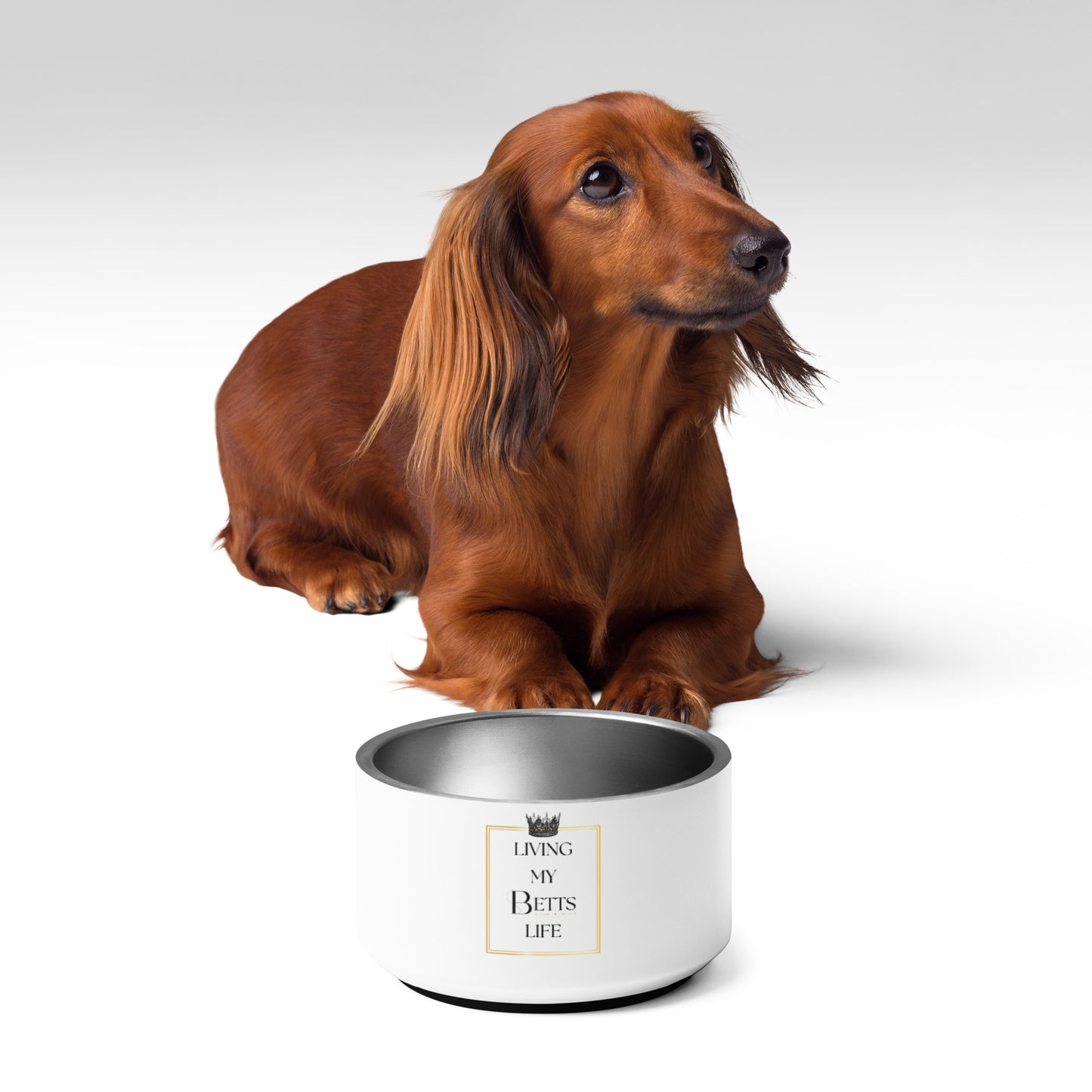Living My Betts Life Pet Bowl