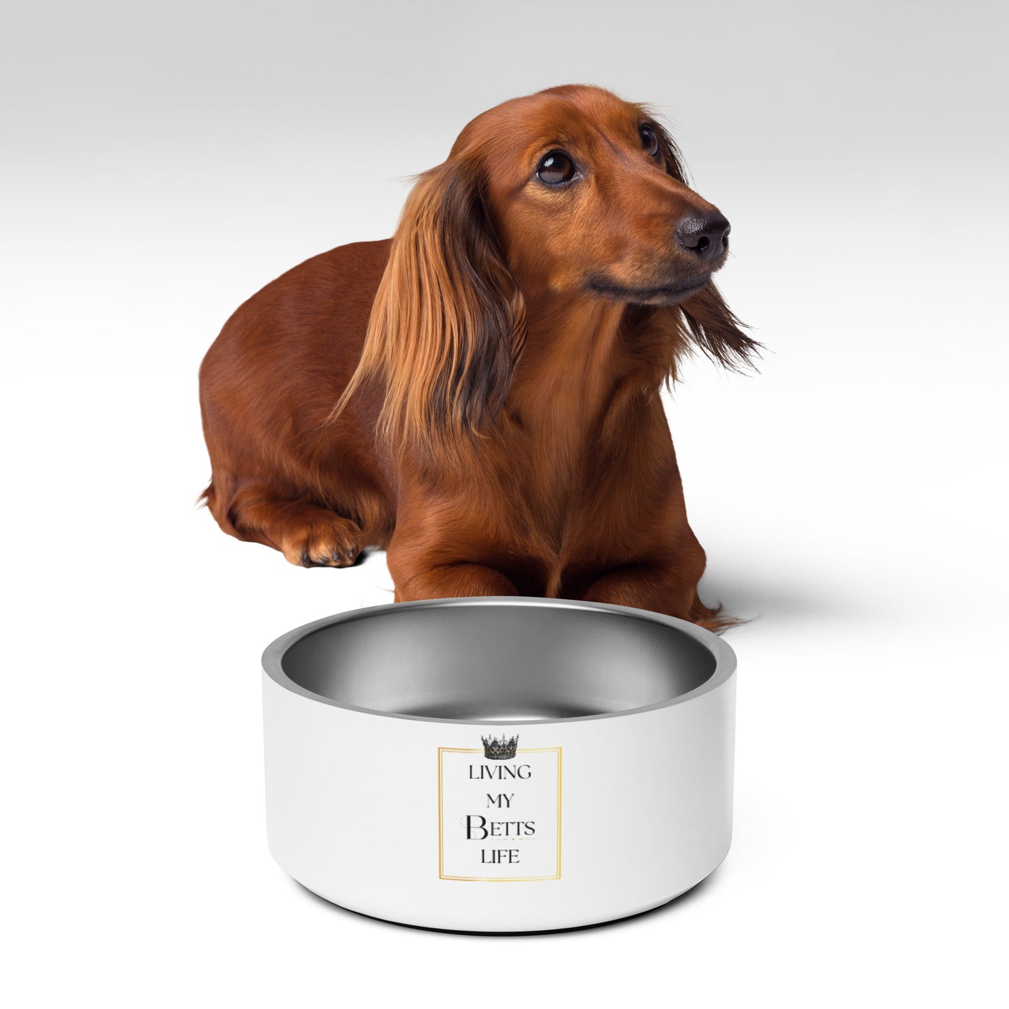 Living My Betts Life Pet Bowl