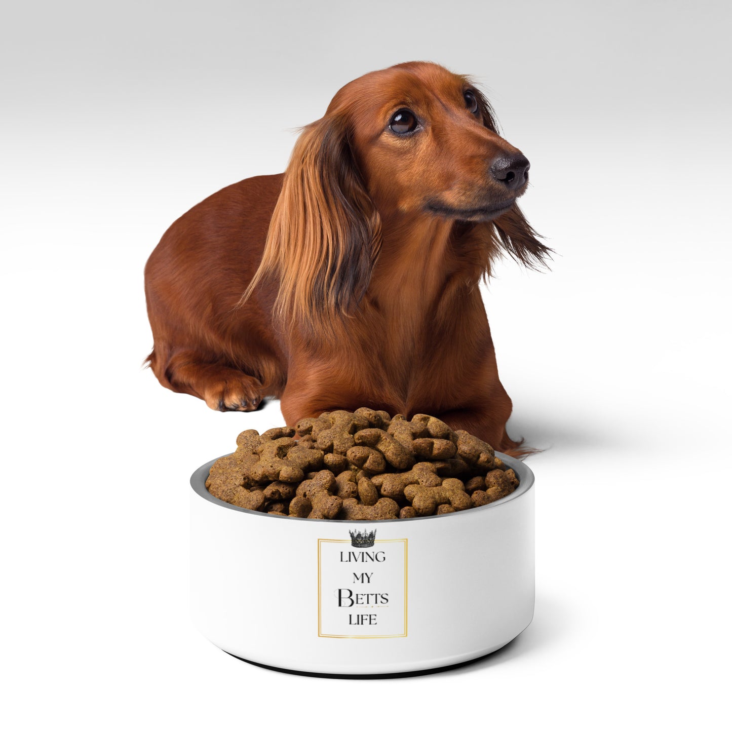 Living My Betts Life Pet Bowl